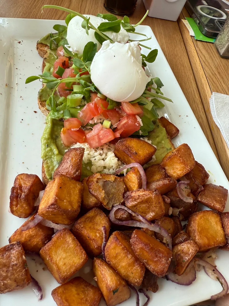 Avocado Toast Rôtie À l’Avocat