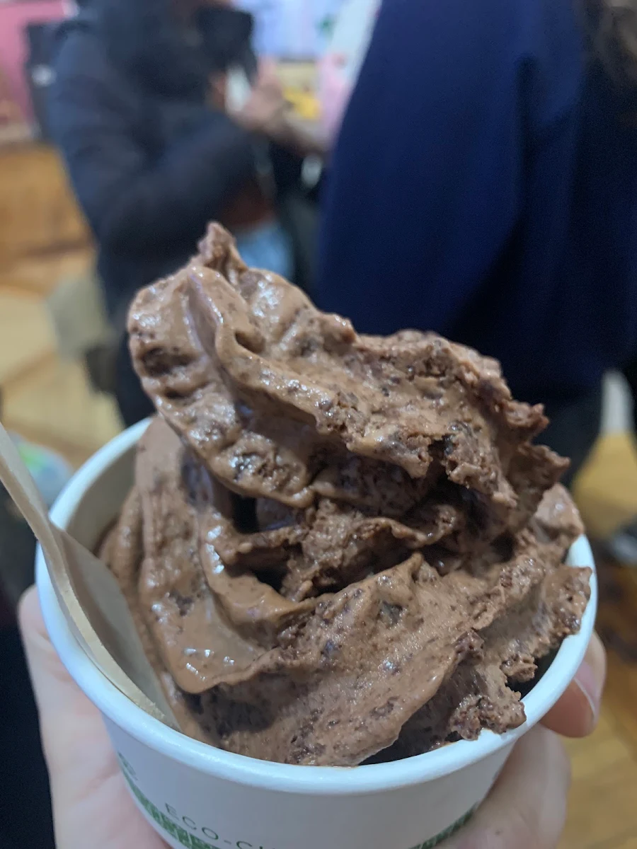 Coconut Chocolate Ice Cream