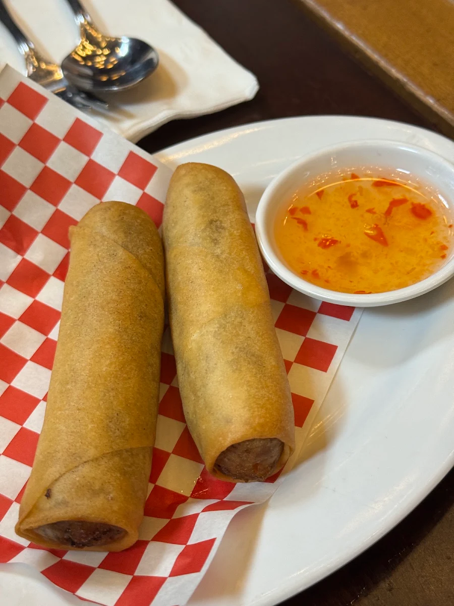 Vegetable Spring Rolls