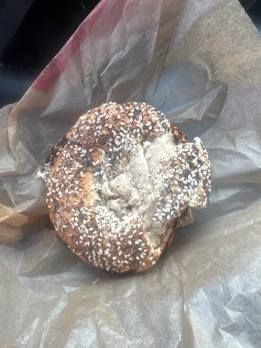 Everything Bagel