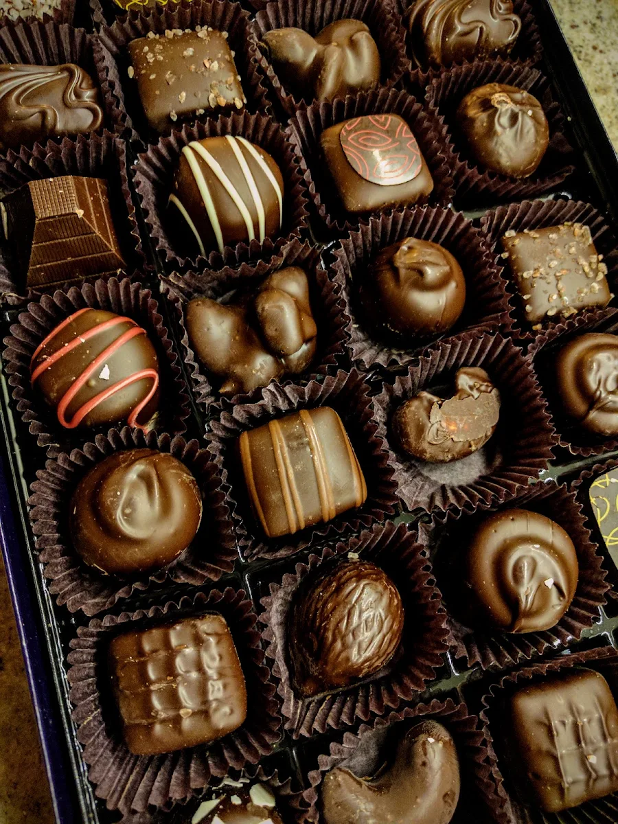Plant-Based Dark Chocolate Collection 12 PC