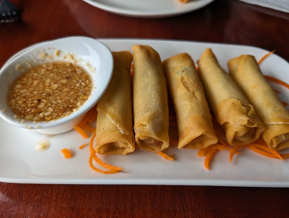 Pork Spring Rolls