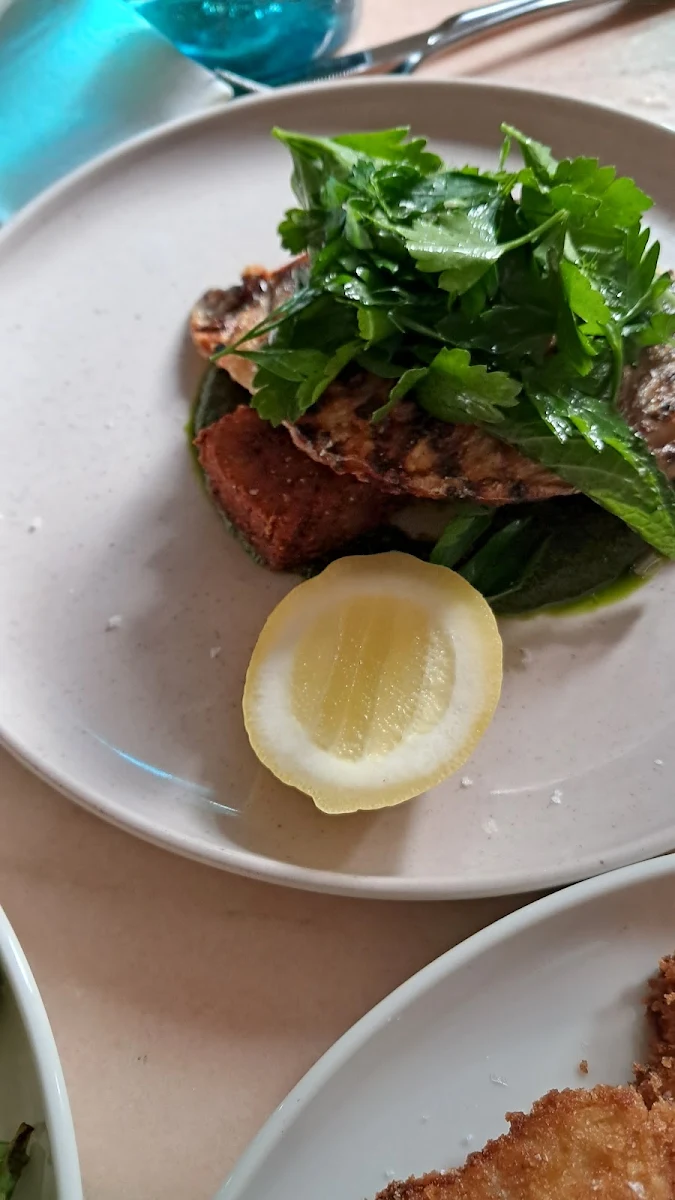 Sea Bream
