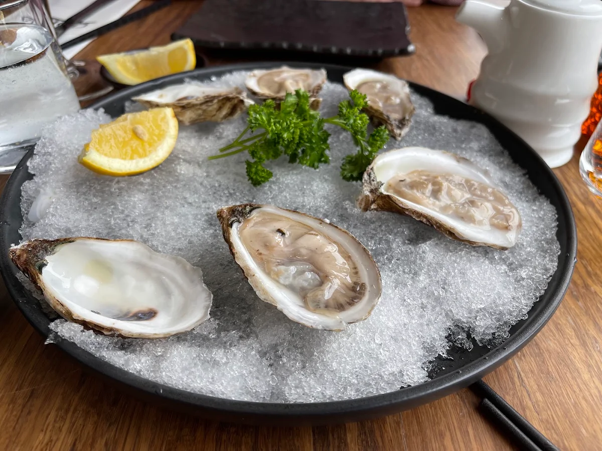 Fresh Oysters