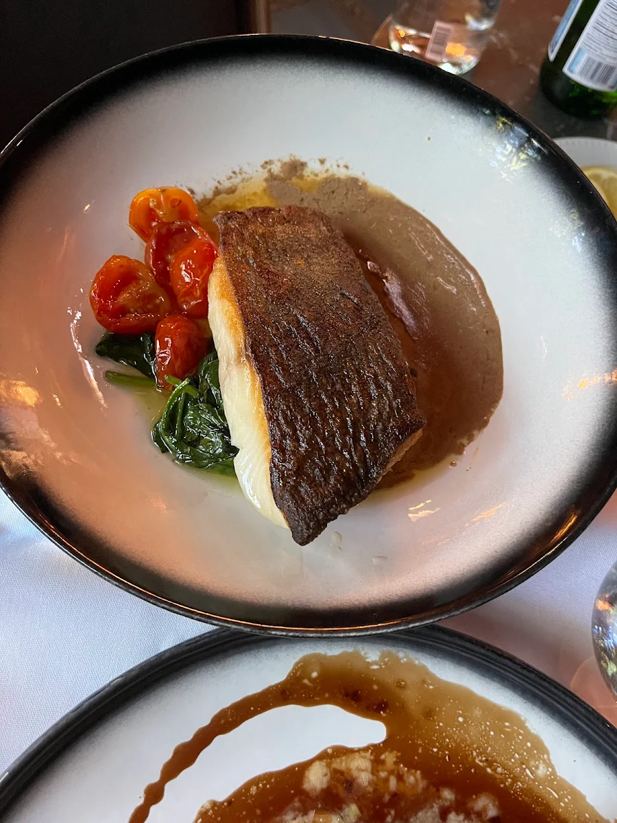 Black Cod