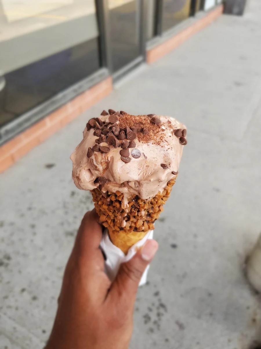Chocolate Swiss Cheese Ice Cream with Chocolate Chip
