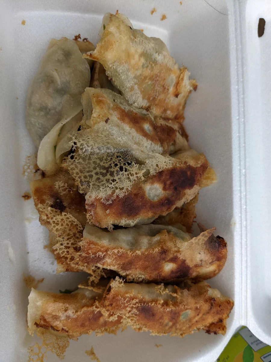 Pan Fried Dumplings Pork and Chive Filling