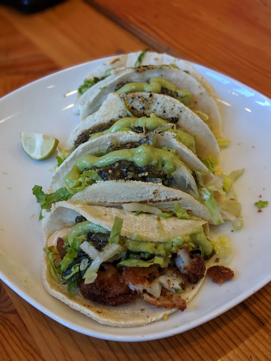 Baja Style Fish Tacos