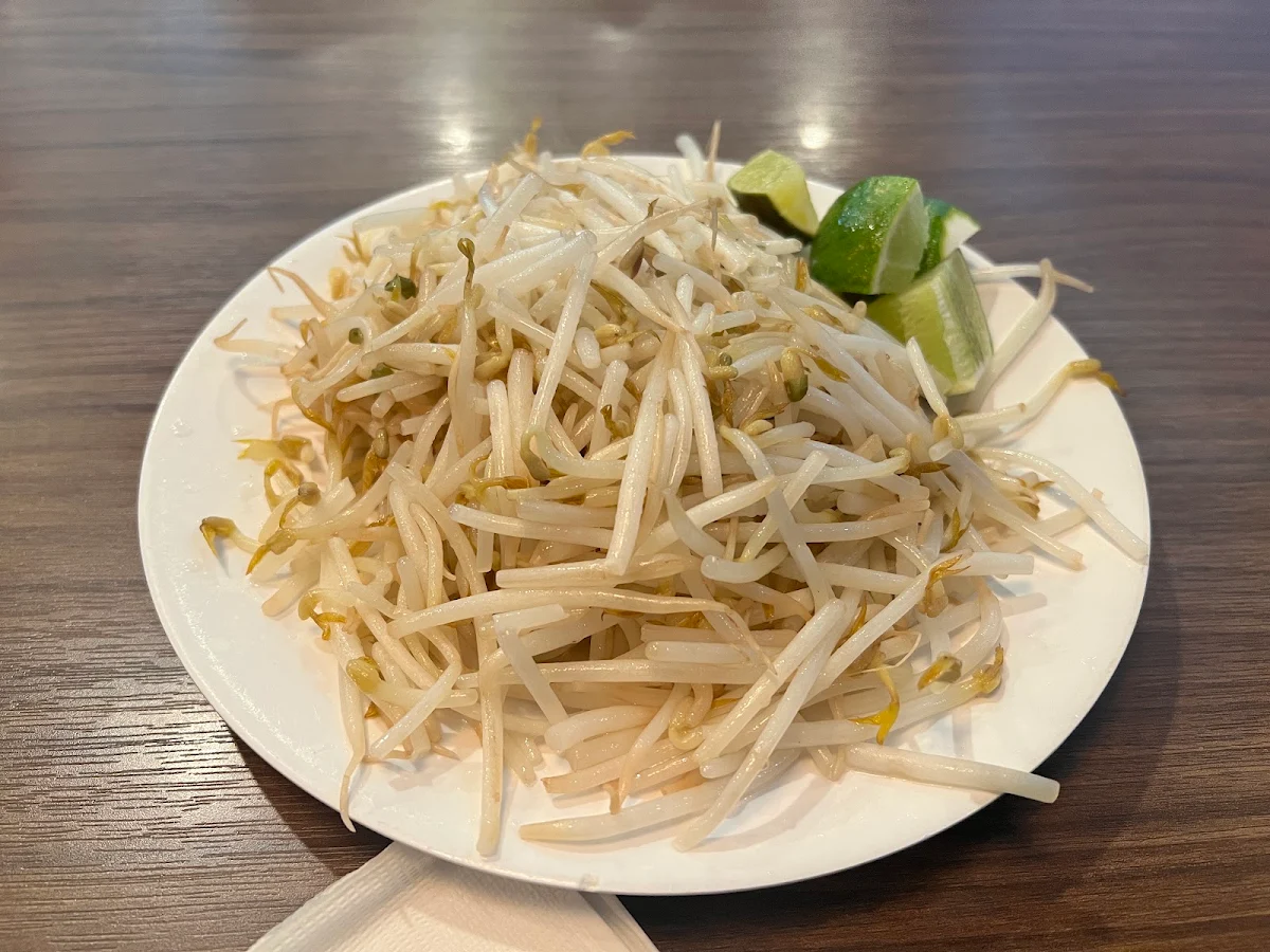 Bean Sprouts, The Pho Restaurant