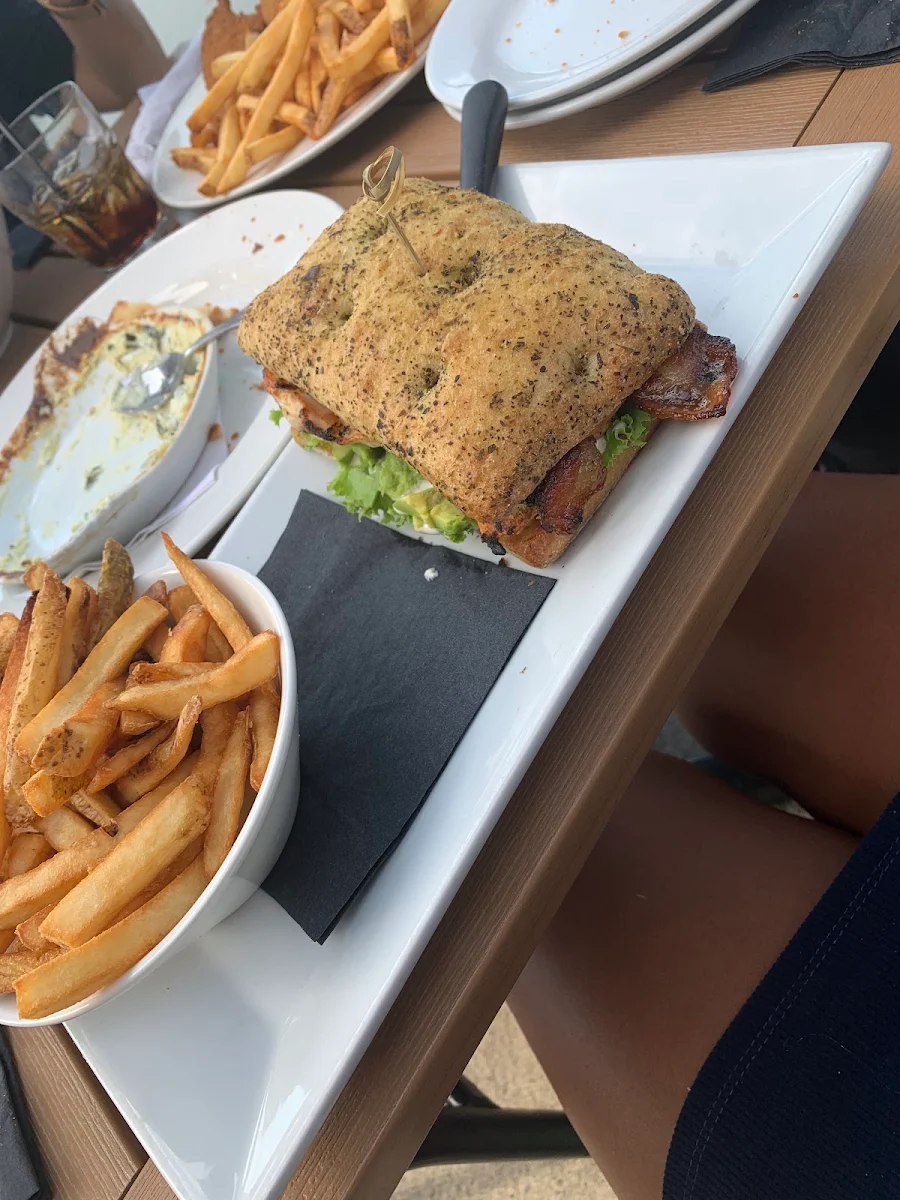 Grilled Chicken Avocado Sandwich