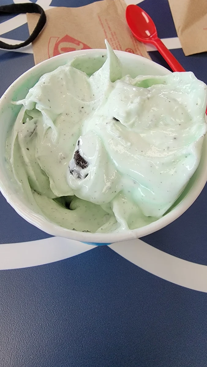 Mint Oreo Blizzard Treat