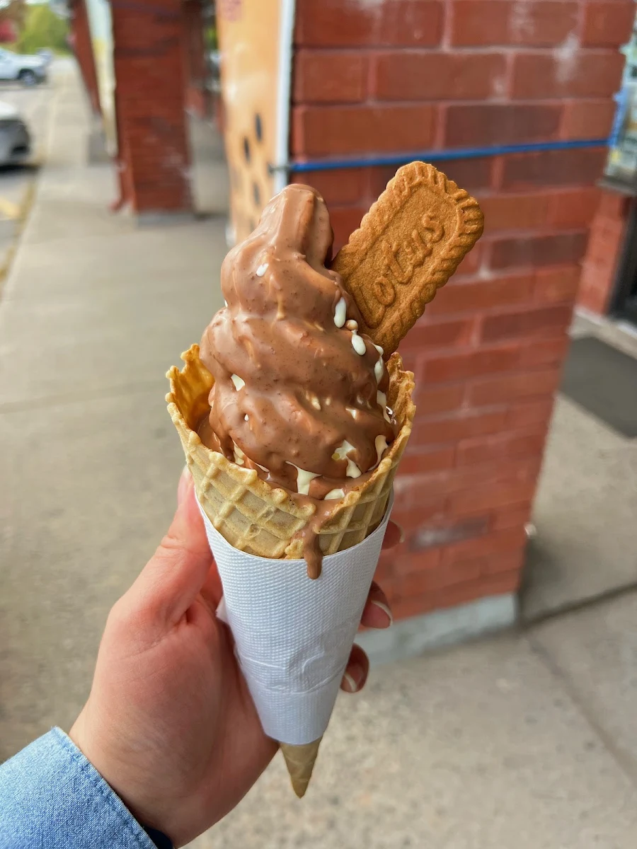 Belgian Chocolate Dip