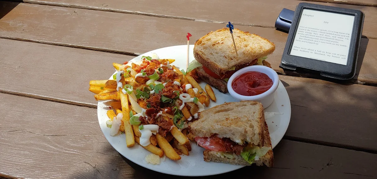 blt with Special Fries