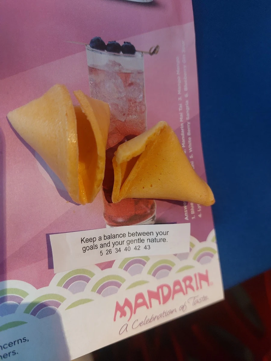 Fortune Cookies 6 PC