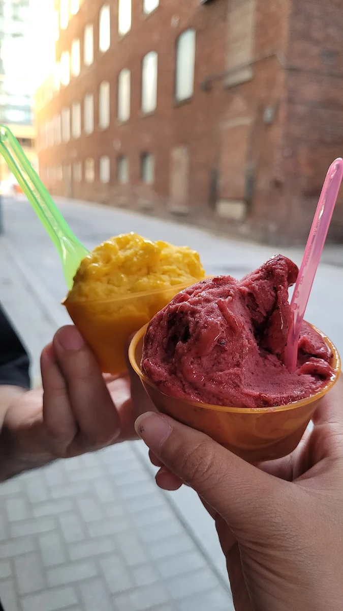 Mango Sorbet Mixed Berry Sorbet