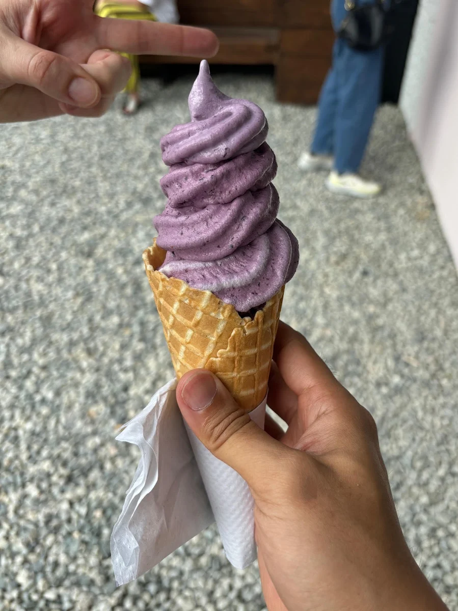Blueberry Ice Cream Cone