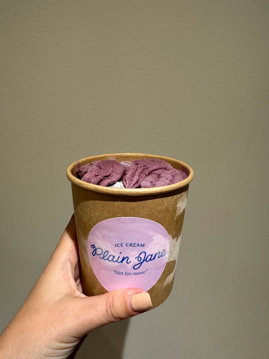 Dairy-Free Blueberry Ice Cream