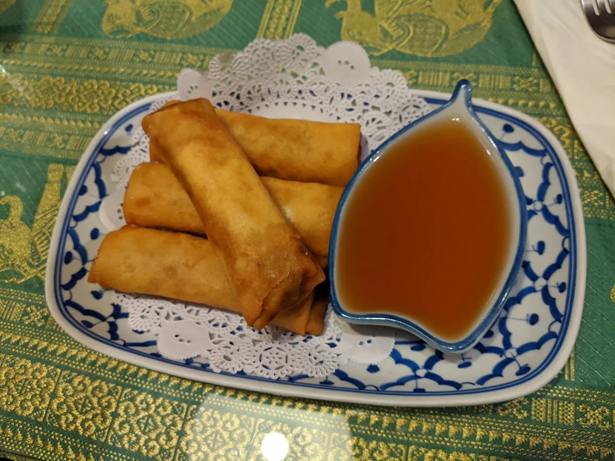 Crispy Spring Rolls