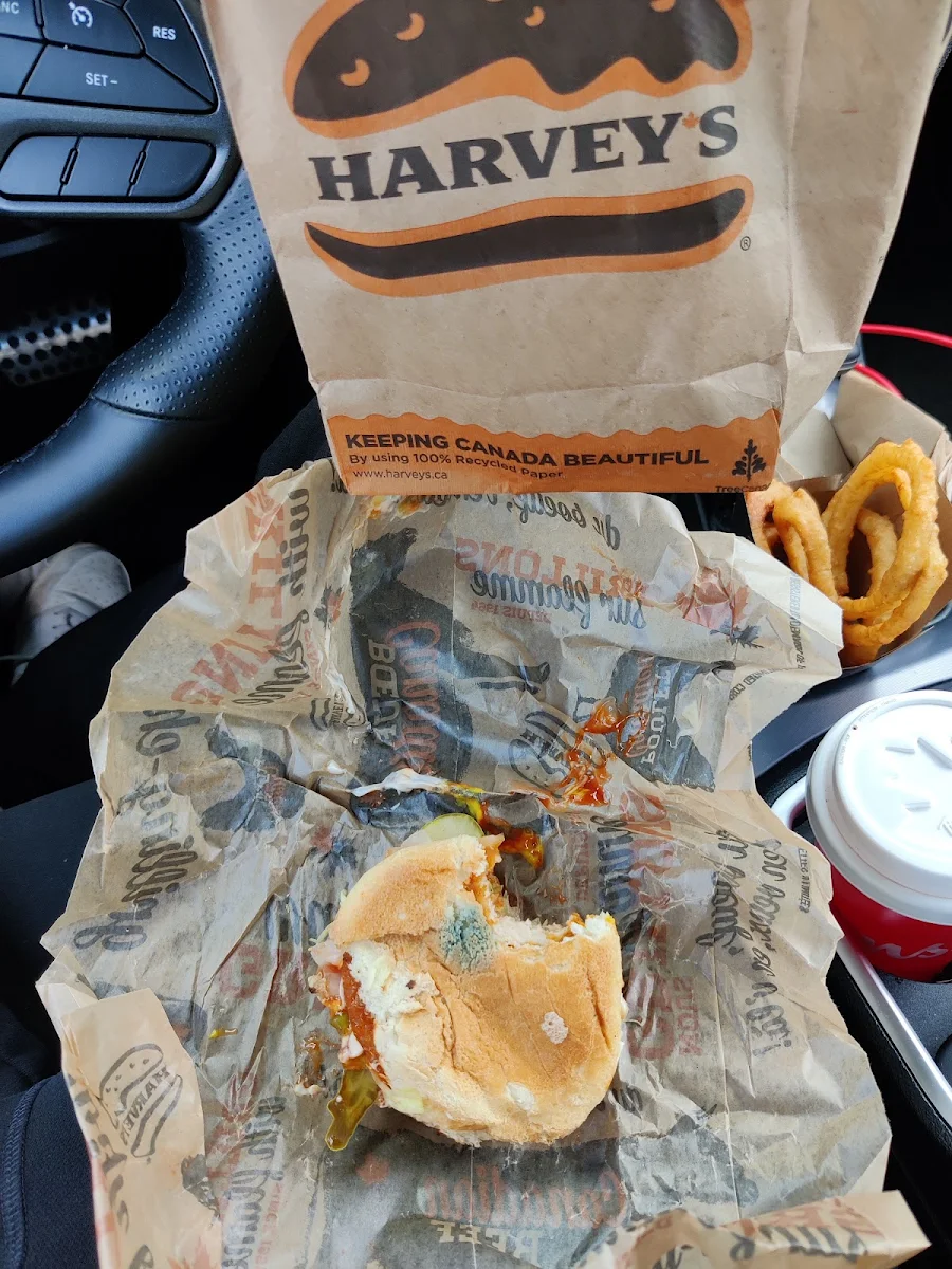 Moldy Burger