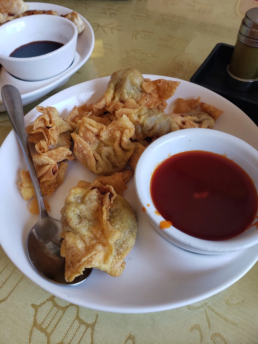 Deep Fried Wonton