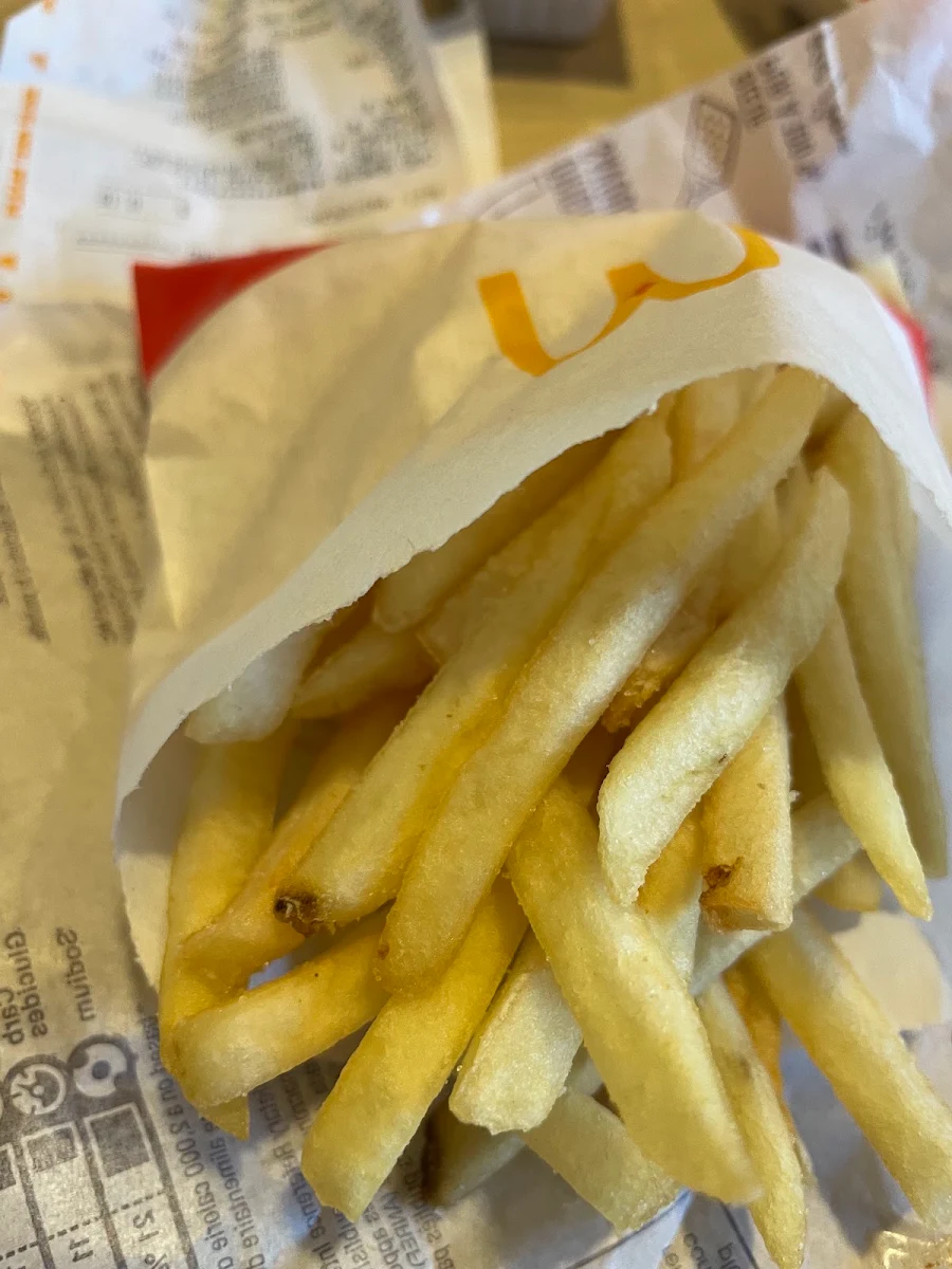 World Famous Fries – Small