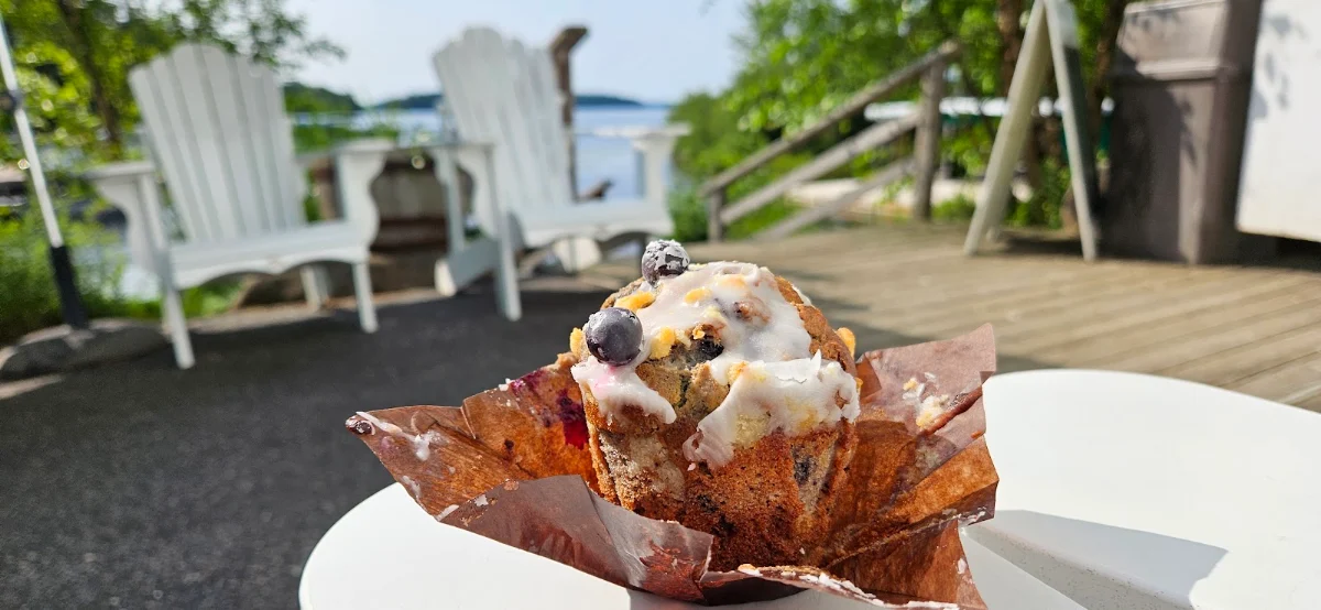 Blueberry Muffin