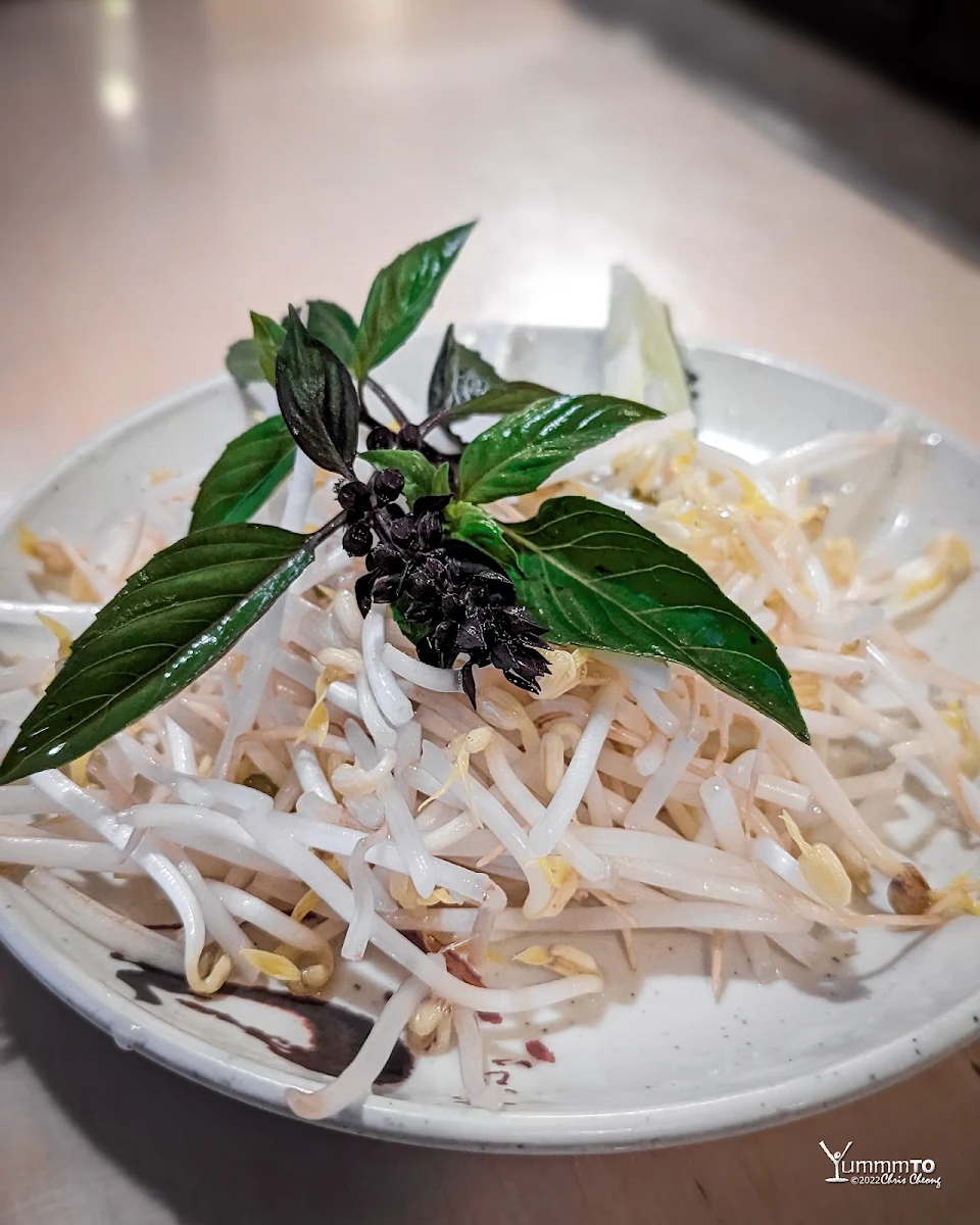 Bean Sprouts, Pho Saigon