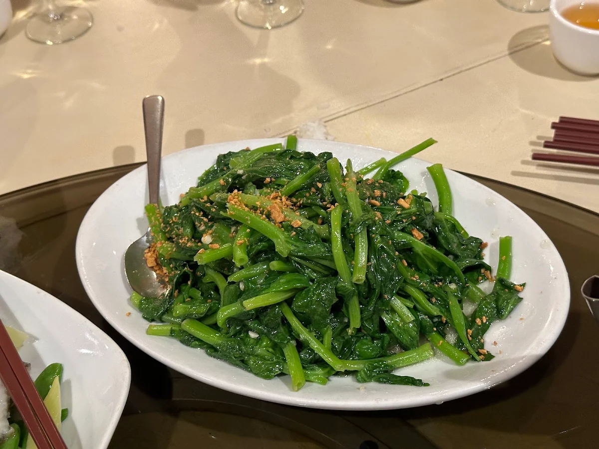 Chinese Broccoli with Garlic Sauce