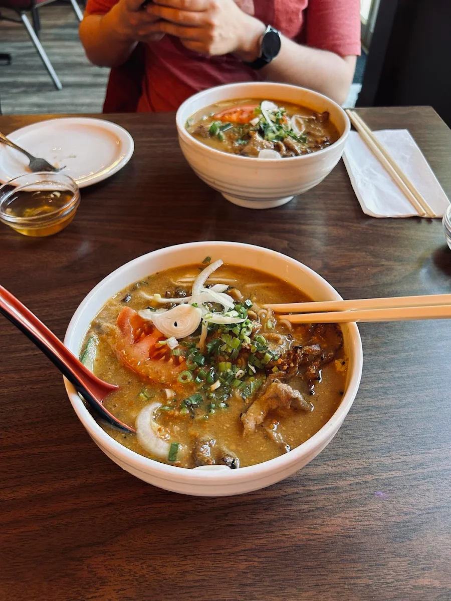 Spicy Curry Duck or Chicken Vermicelli Soup