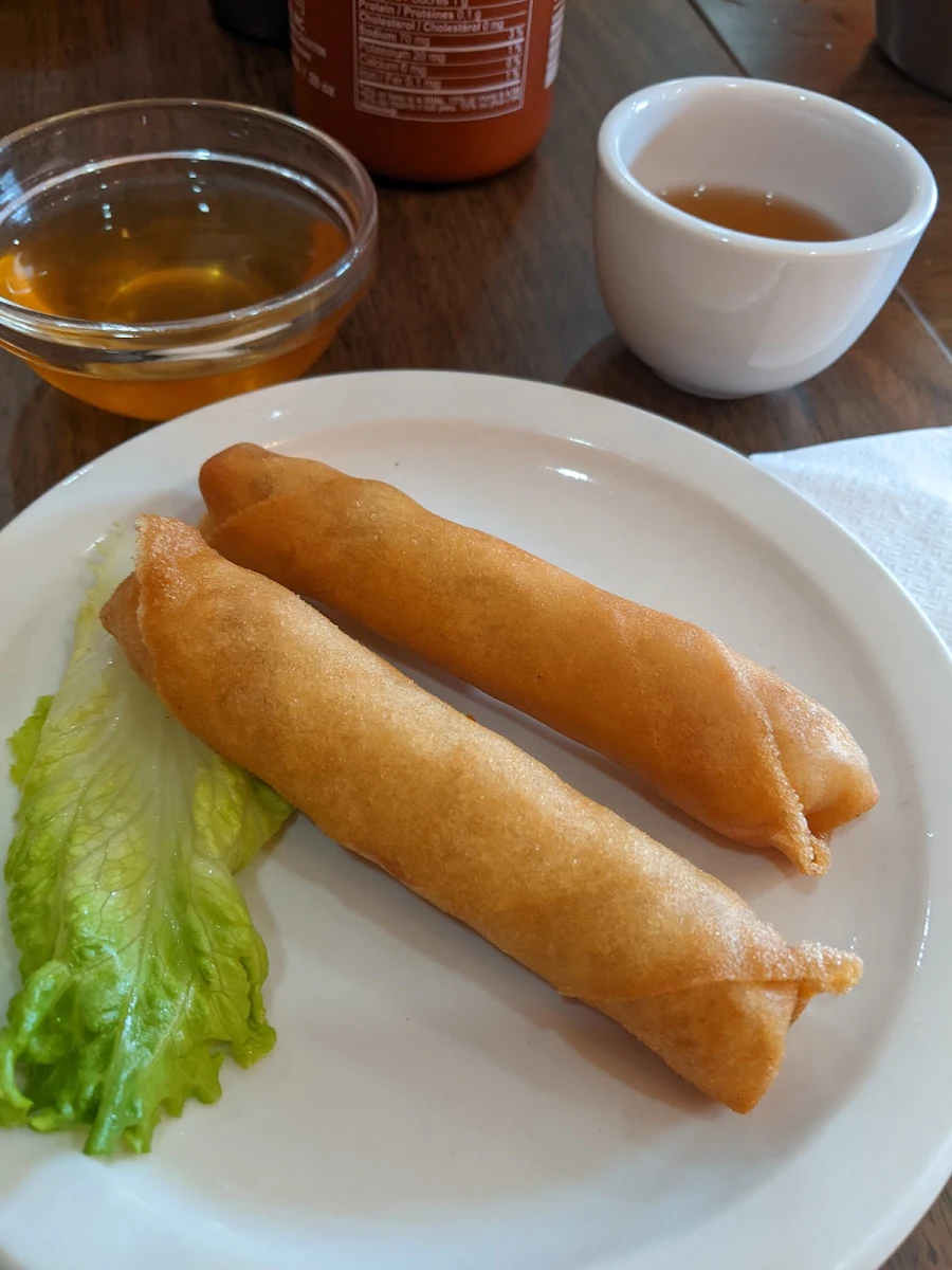 Vegetarian Spring Rolls and Tofu on Vermicelli