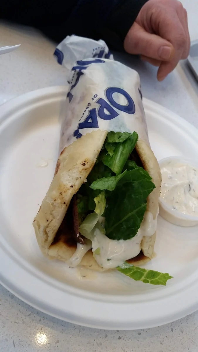 Gyro