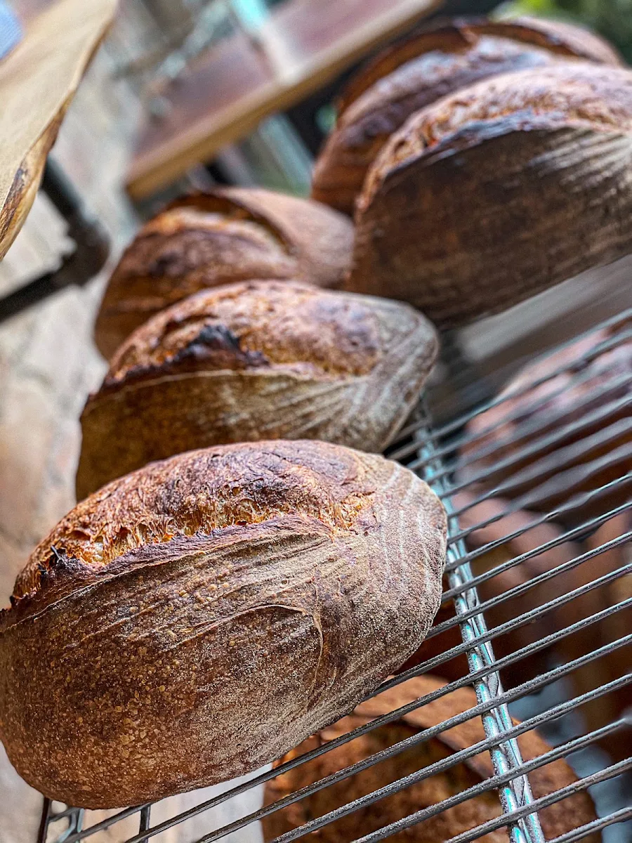 Side House Made Sourdough Toast