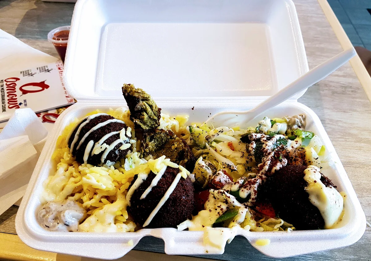 Falafel Plate