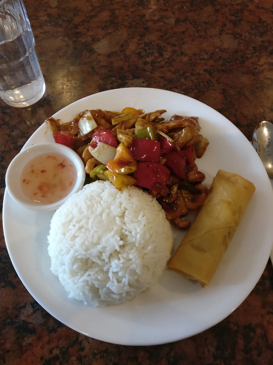 Chicken Cashew w Rice & Spring Roll