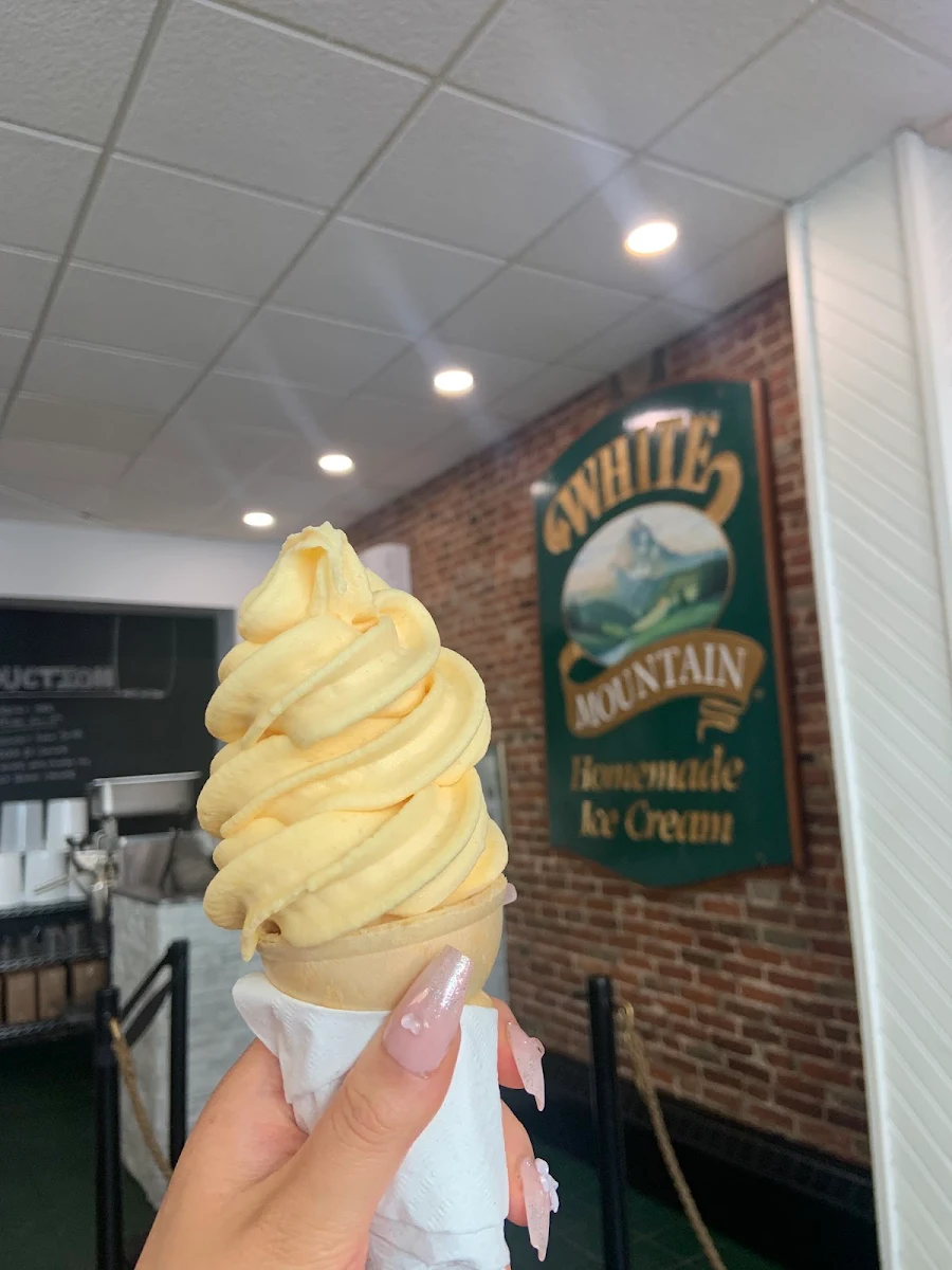Mango Frozen Yogurt