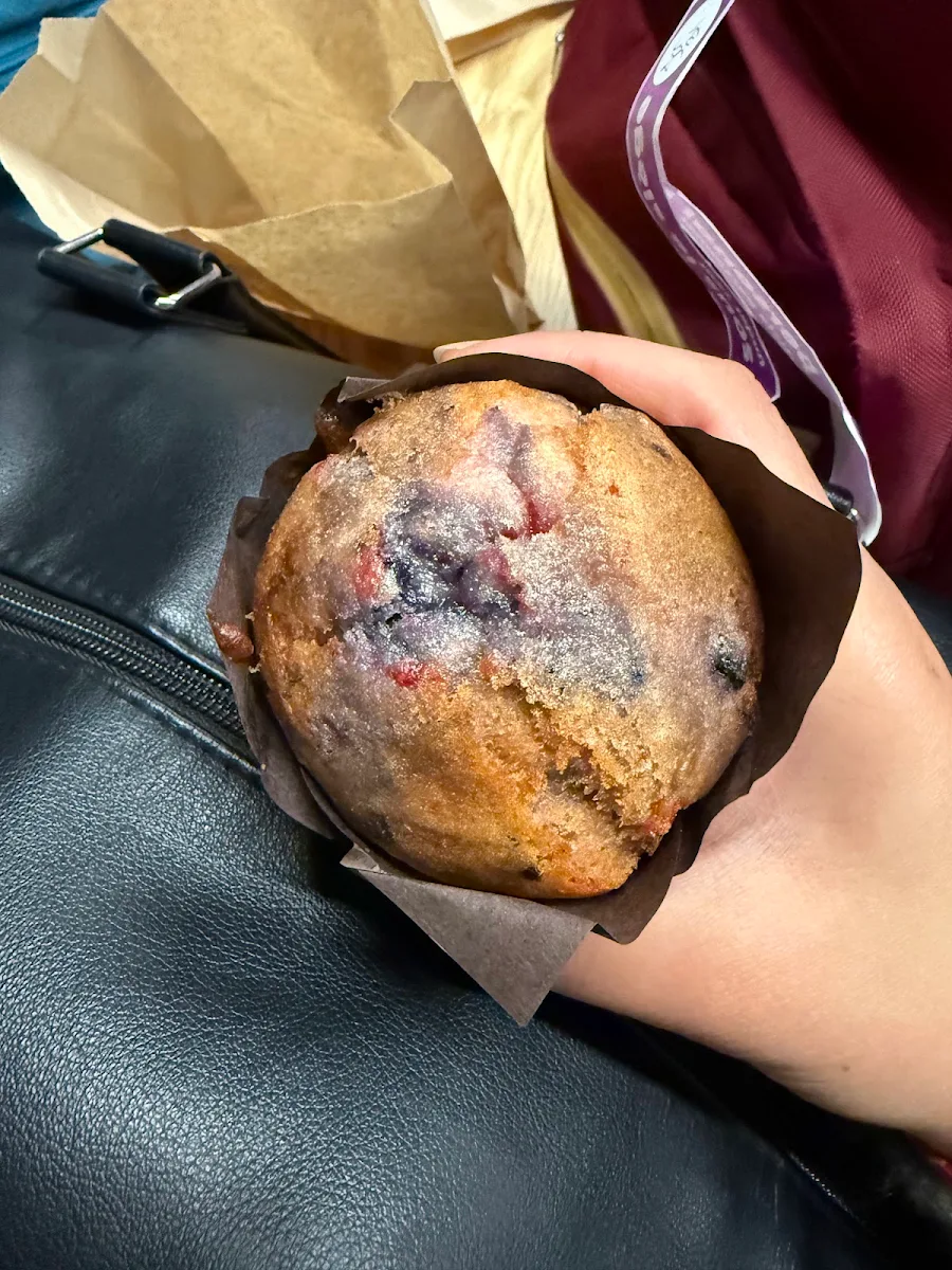 Blueberry Muffin