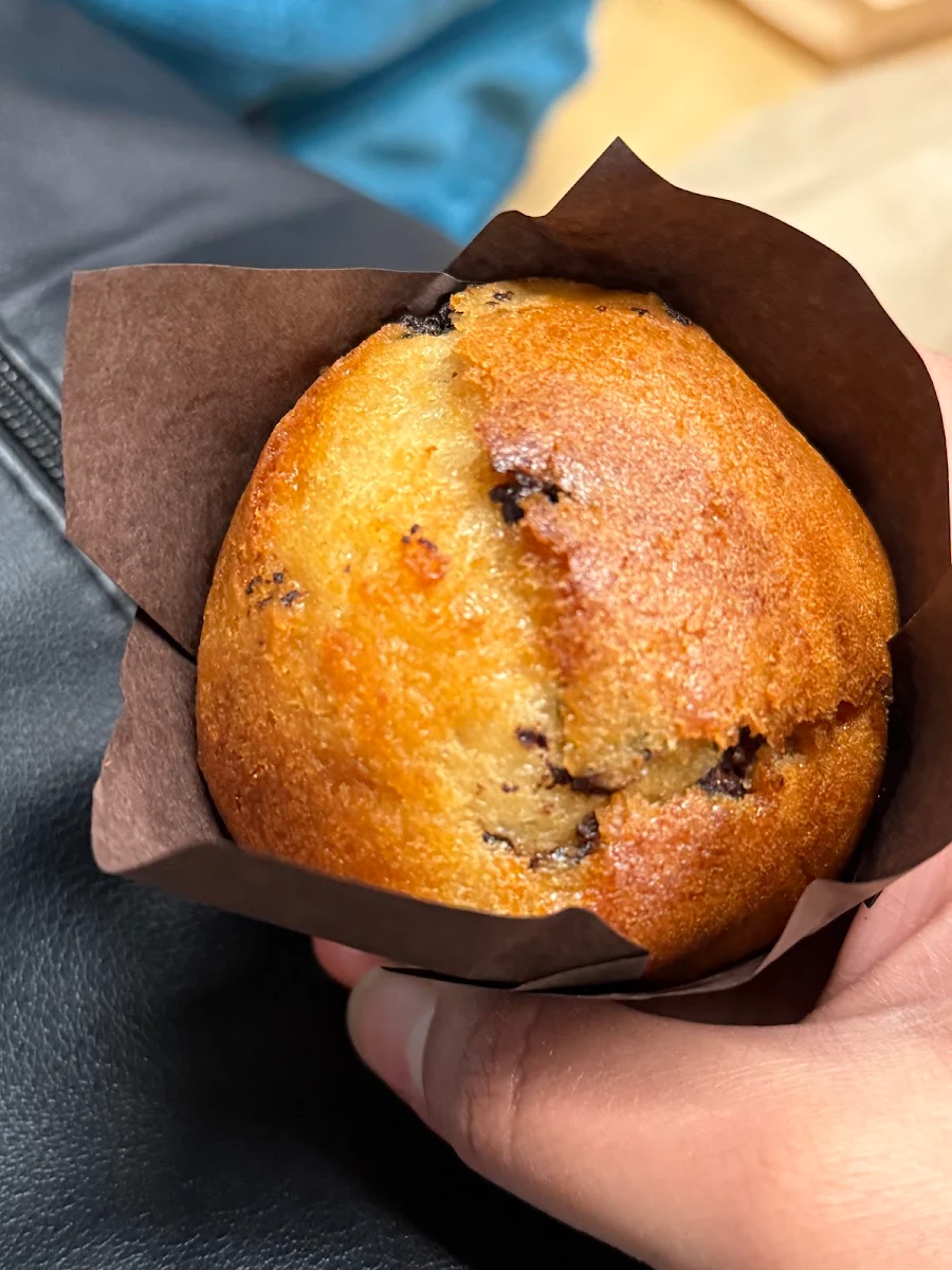 Chocolate Muffin