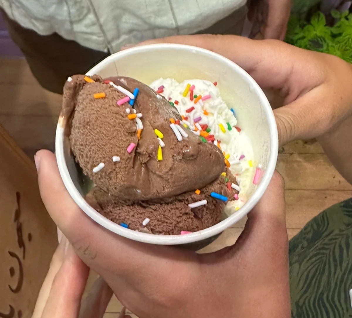 Vanilla and Chocolate Ice Cream
