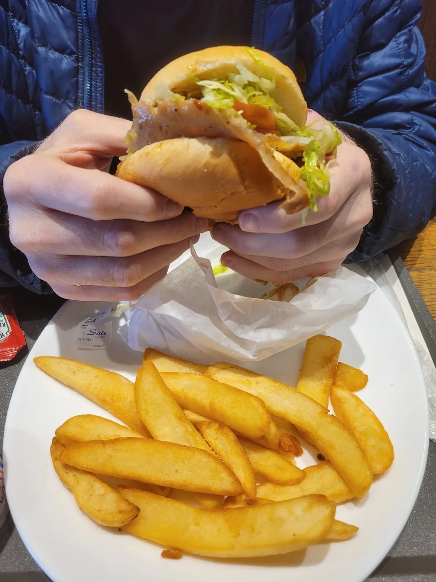 Gyro Sandwich