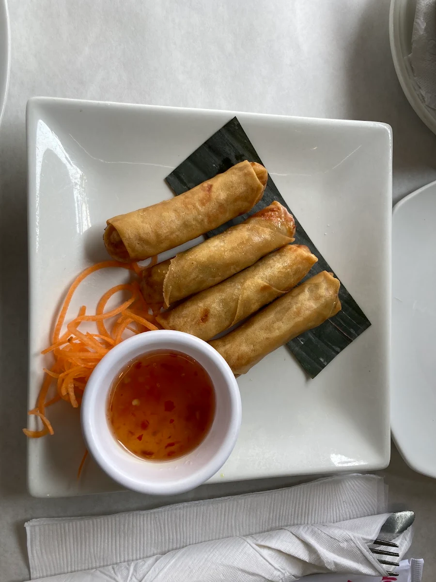 Veg Spring Rolls