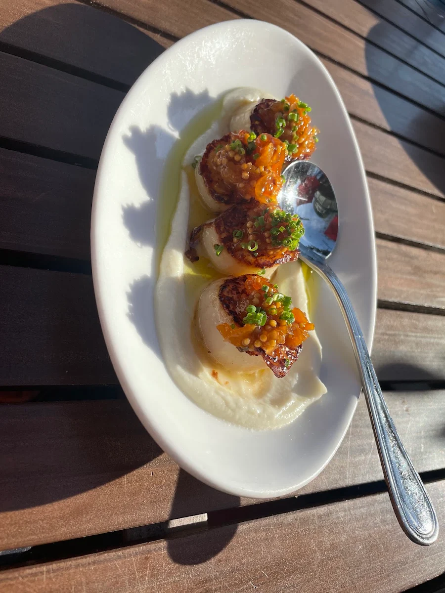 Seared Scallops Apricot Mostarda