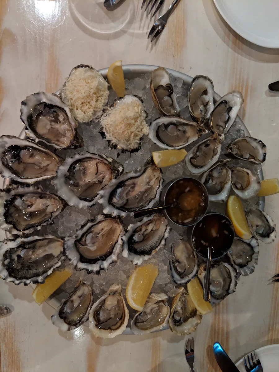 Variety of Oysters on the Half Shell