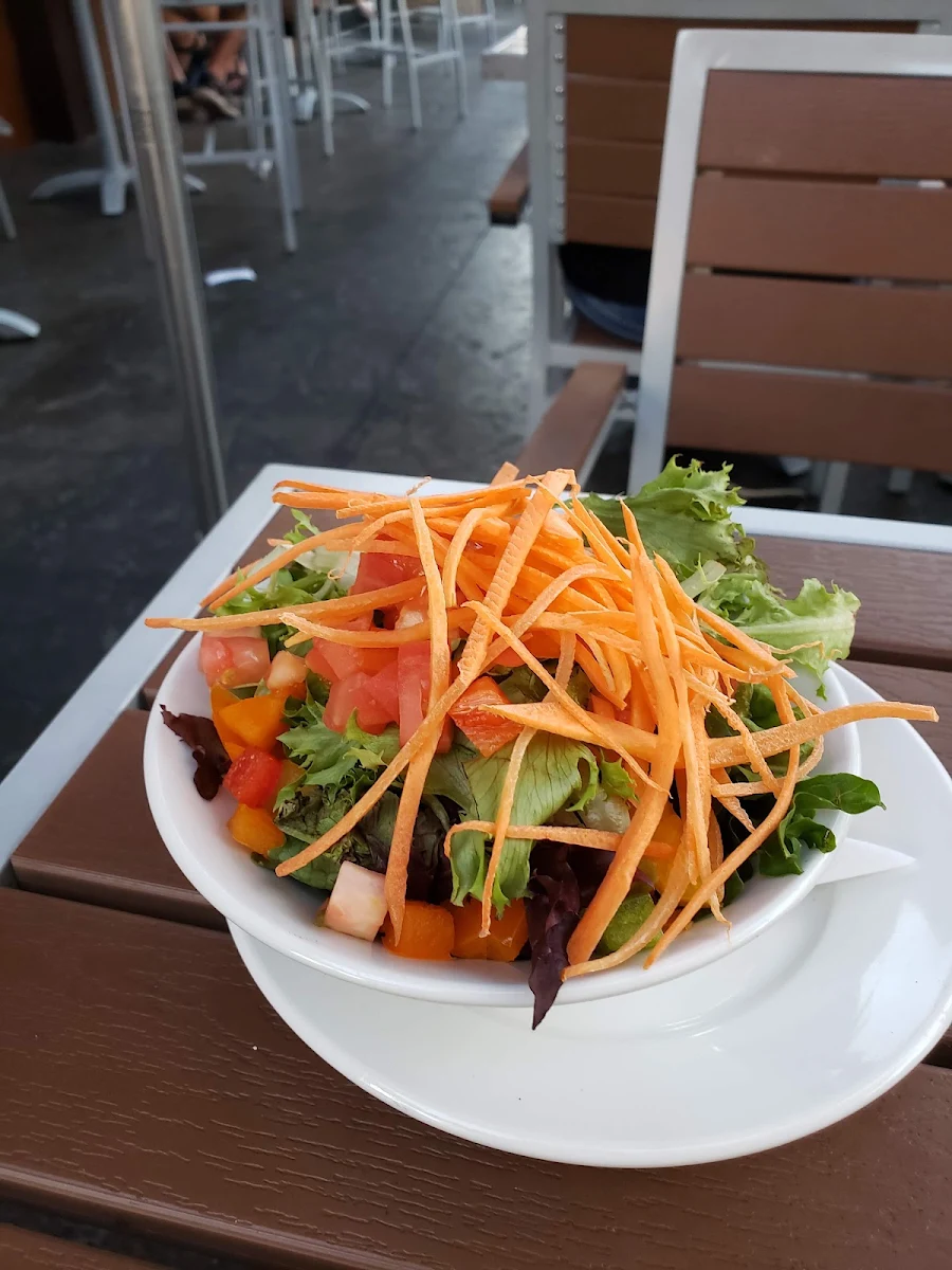Garden Salad