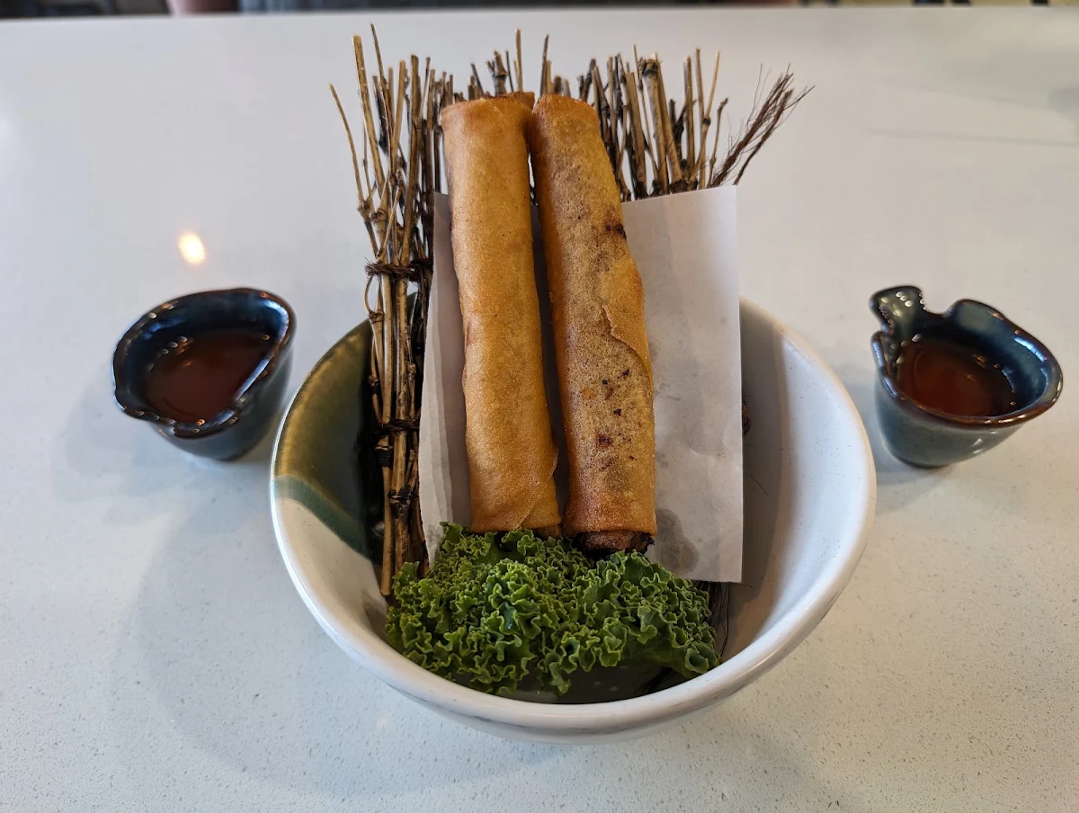 Spring Rolls
