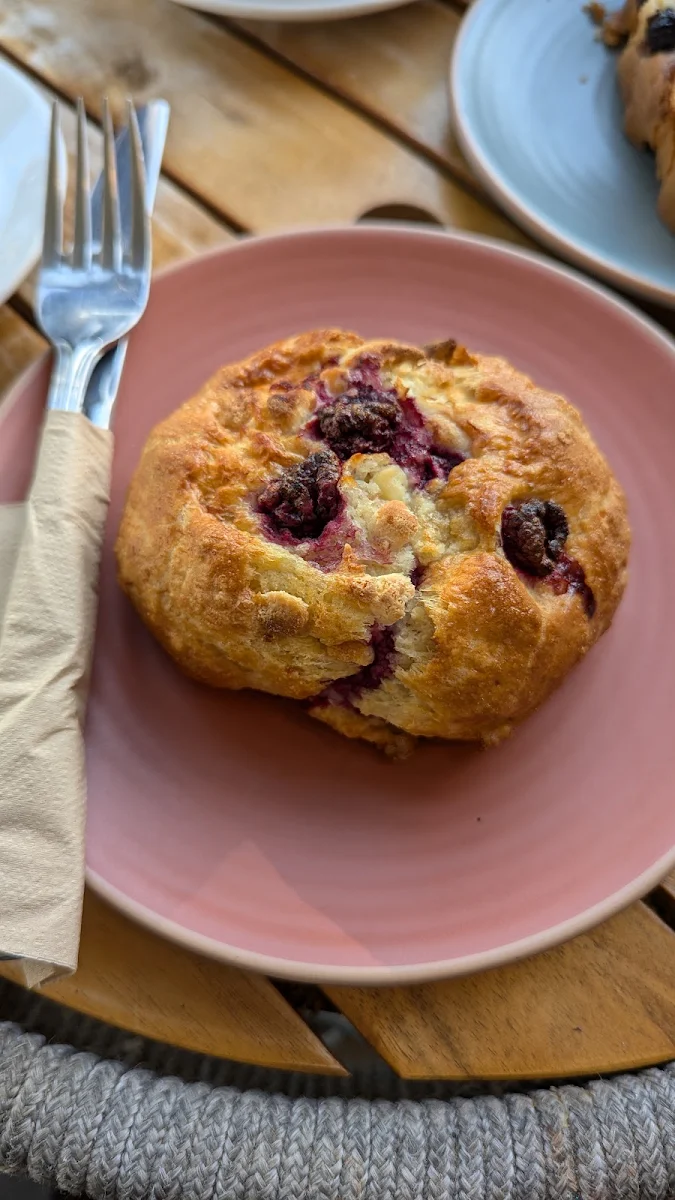 Freshly Baked Scones