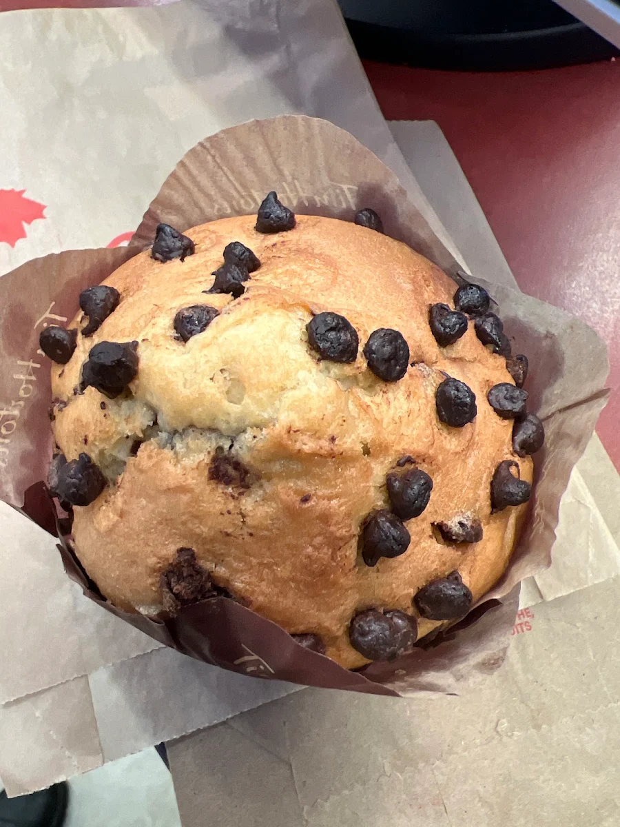 Chocolate Chip Muffin