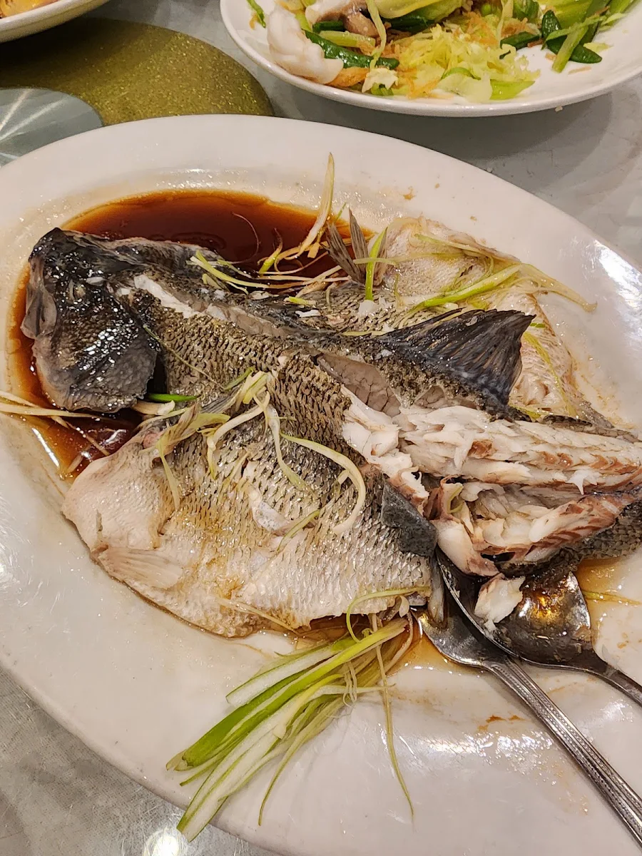 Steamed Green Bass with Green Onion in Soya Sauce