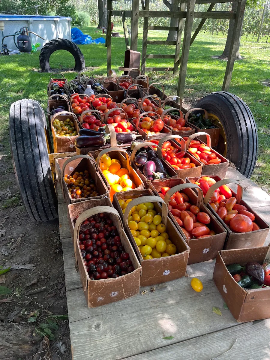 Highlights, Carolinia Cider Company