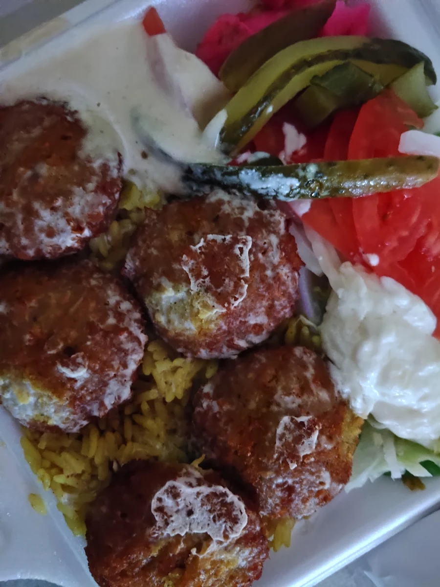 Falafel Plate