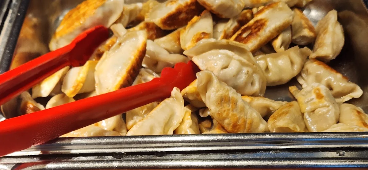 Chicken Dumplings